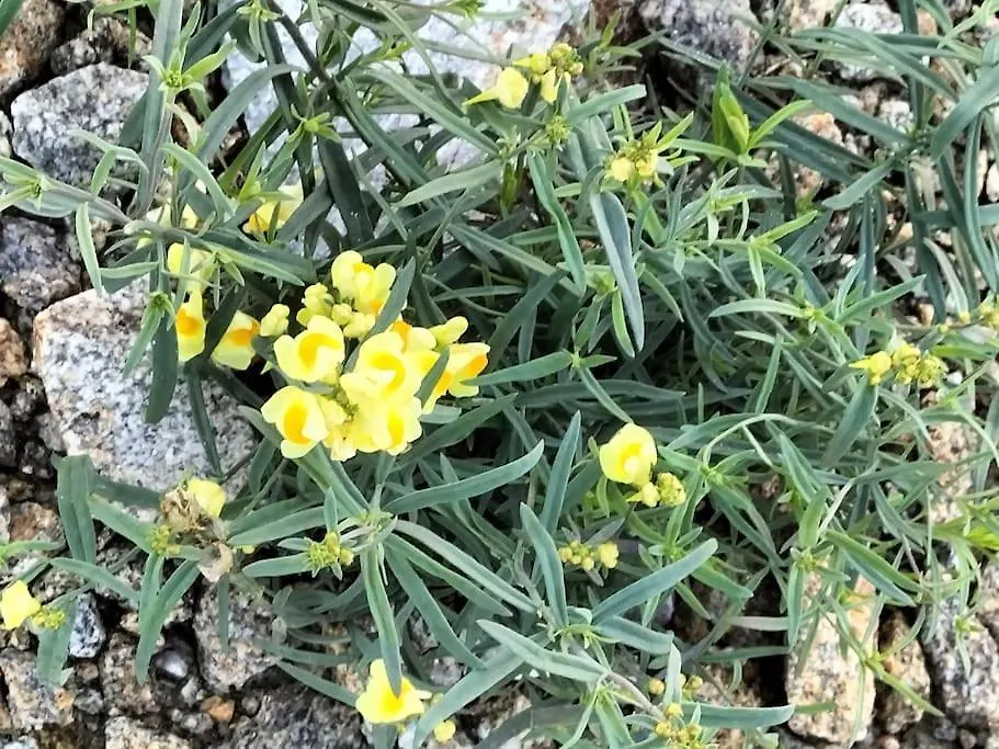 RéminiacLongere Bretagne别墅 度假居